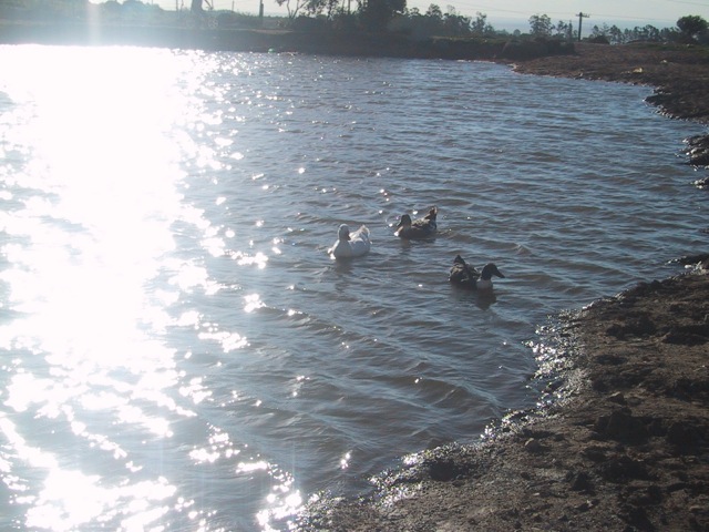 200403 - Igreja - 03/11